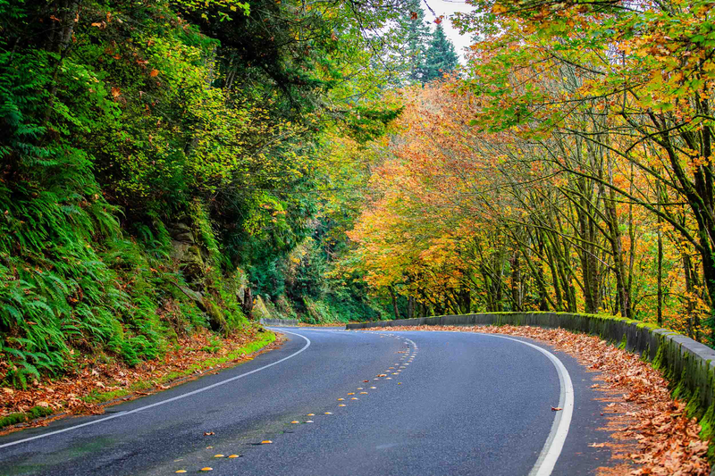 Chuckanut Drive